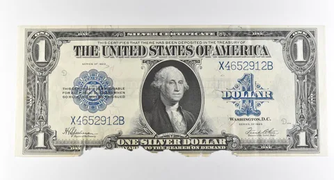 1923 $1 Silver Certificate Large Note Blue Seal *2956
