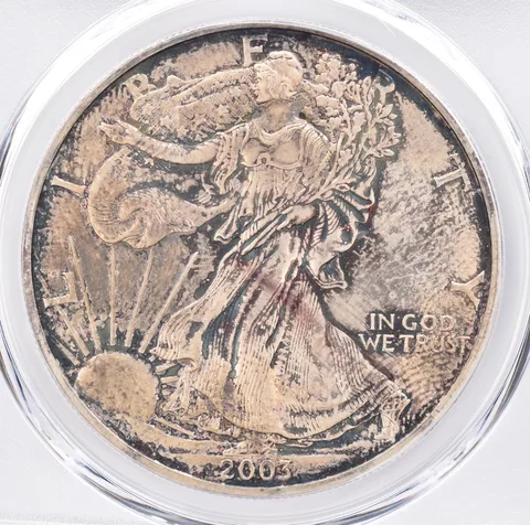 2003 American Silver Eagle MS66 PCGS Beautiful Tone *1406