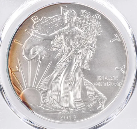 2018-W Burnished American Silver Eagle SP69 PCGS Beautiful Tone *1554