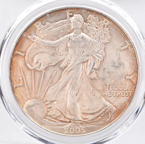 2005 American Silver Eagle MS67 PCGS Beautiful Tone *1379