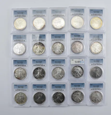 Lot (20) Nice Tone American Silver Eagle 19 PCGS 1 ICG Holder *1998