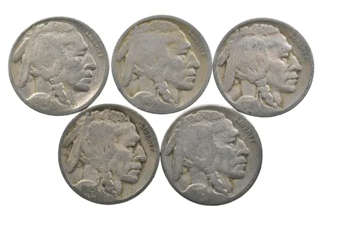 BETTER Lot 1929-D 1928-D 1928-S 1929-D 1929-S Buffalo Nickel Collection *178