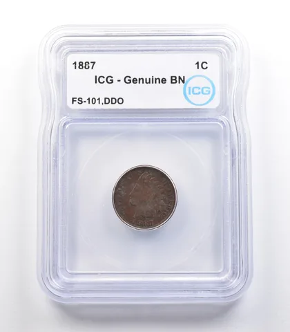 1887 Indian Head Cent Mint Error FS-101 DDO Genuine BN ICG a2273