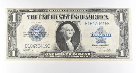 1923 $1 Silver Certificate Large Note Blue Seal *2962
