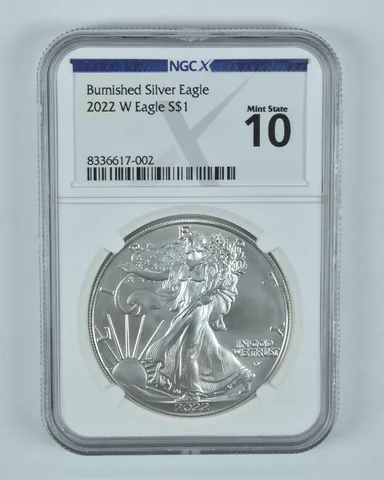 2022-W Burnished Silver Eagle Mint State 10 NGC X NGCX