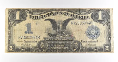 1899 $1 Silver Certificate Black Eagle Blue Seal Large Note *4504