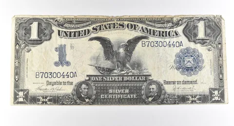 1899 $1 Silver Certificate Large Note Blue Seal *2866