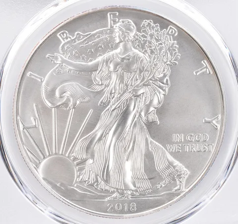 2018-W Burnished American Silver Eagle SP69 PCGS Beautiful Tone *1555