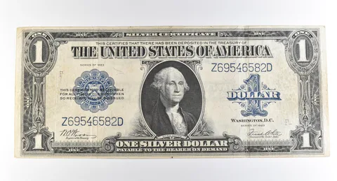 1923 $1 Silver Certificate Large Note Blue Seal *3681
