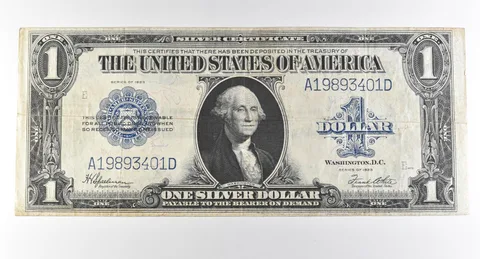 1923 $1 Silver Certificate Large Note Blue Seal *3003