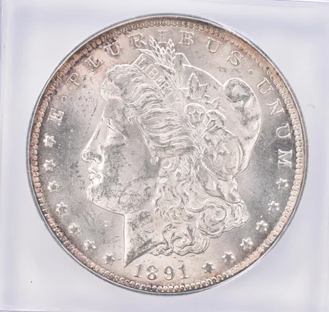 1891-CC Morgan Silver $1 VAM-3 Spitting Eagle ICG Peripheral Tone *1777