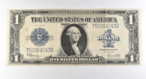 1923 $1 Silver Certificate Large Note Blue Seal *2938
