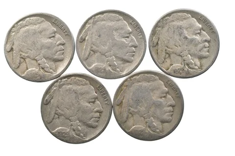 BETTER Lot 1929-S 1929-S 1929-S 1929-S 1929-S Buffalo Nickel Collection *162