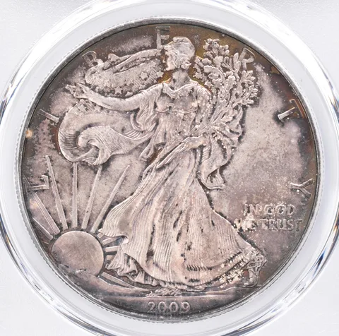 2009 American Silver Eagle MS65 PCGS Beautiful Tone *1454