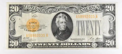 1928 $20 US Gold Certificate Fr#2402 a1007