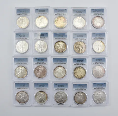 Lot (20) Nice Tone American Silver Eagle PCGS Holder *2890