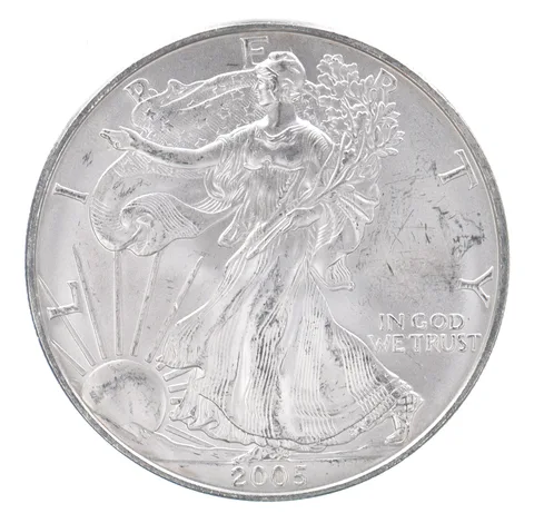 Beautiful Toned - 2005 American Silver Eagle 1 Troy Oz .999 Fine Silver *134