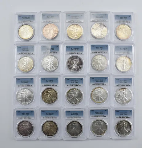 Lot (20) Nice Tone American Silver Eagle PCGS Holder *1992