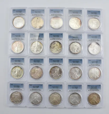Lot (20) Nice Tone American Silver Eagle PCGS Holder *2903