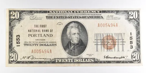 1929 $20 Portland OR National Currency Note CH 1553 a9859