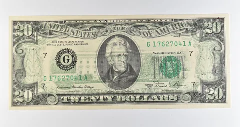 1981 A $20 Chicago IL FRN Green Seal Offset Transfer Error *0442