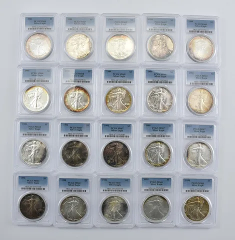 Lot (20) Nice Tone American Silver Eagle PCGS Holder *2879