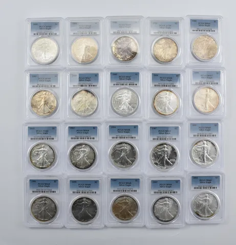 Lot (20) Nice Tone American Silver Eagle PCGS Holder *1996