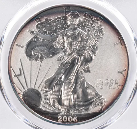 2006-P American Silver Eagle 20th Anniversary Reverse Proof PR69 PCGS Tone *1548