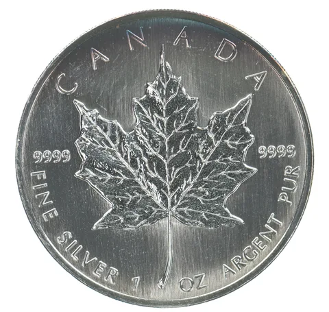 1999 Canada 5 Dollars Silver Maple Leaf 1 Oz Silver Peripheral Tone *6273