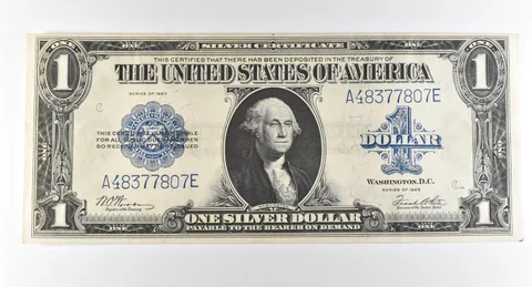 1923 $1 Silver Certificate Large Note Blue Seal *2933