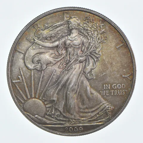Beautiful Toned - 2009 American Silver Eagle 1 Troy Oz .999 Fine Silver *962