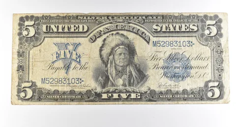 1899 $5 Silver Certificate Large Note Blue Seal Chief *2770