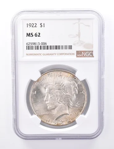 MS62 1922 Peace Silver Dollar - Graded NGC Insane Tone *4238