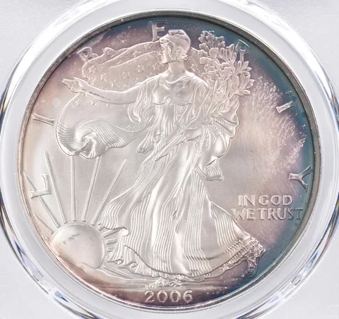 2006-W Burnished American Silver Eagle SP69 PCGS Beautiful Tone *1556