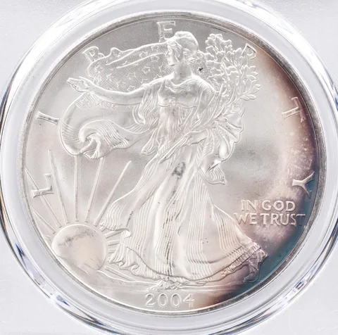 2004 American Silver Eagle MS66 PCGS Beautiful Tone *1435