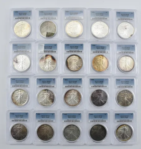 Lot (20) Nice Tone American Silver Eagle PCGS Holder *2006