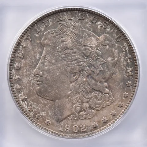 1902 Morgan Silver Dollar MS65 ICG Beautiful Tone *2398