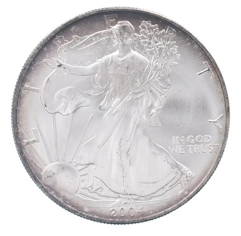 Beautiful Toned - 2004 American Silver Eagle 1 Troy Oz .999 Fine Silver *130
