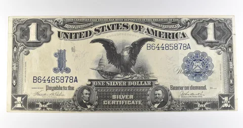 1899 $1 Silver Certificate Large Note Blue Seal *3618