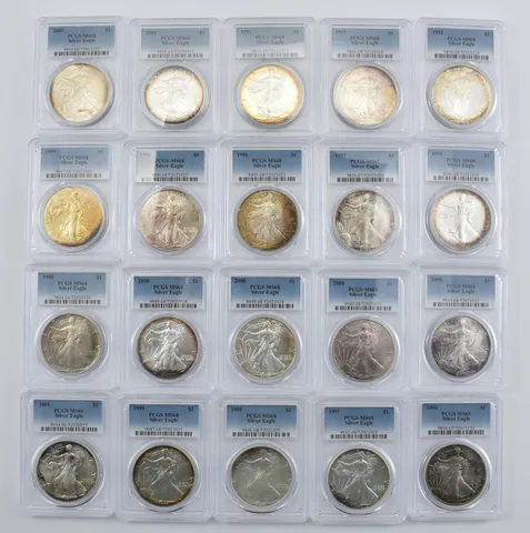 Lot (20) Nice Tone American Silver Eagle PCGS Holder *2007