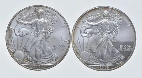 2002 - 2009 American Silver Eagle 1 T Oz .999 Lot of 2 *261