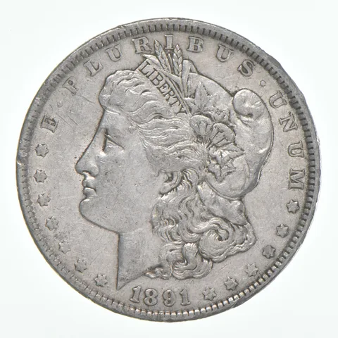 VF 1891 (P) Morgan Silver Dollar (1 coin)