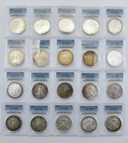 Lot (20) Nice Tone American Silver Eagle PCGS Holder *2005