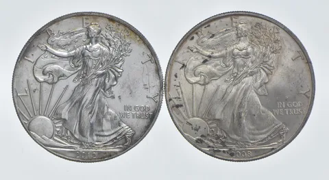 2012 - 2008 American Silver Eagle 1 T Oz .999 Lot of 2 *258