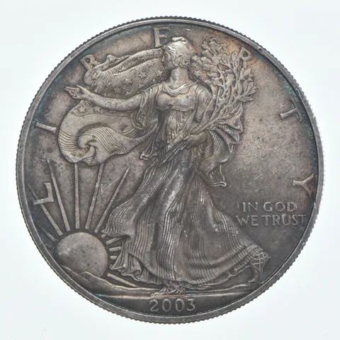 Beautiful Toned - 2003 American Silver Eagle 1 Troy Oz .999 Fine Silver *950