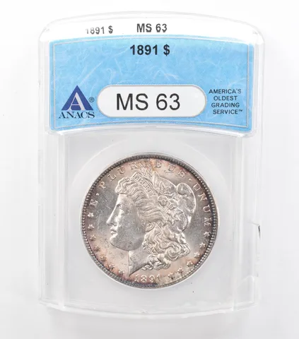 1891 Morgan Silver Dollar MS63 ANACS Peripheral Tone *6609