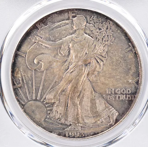 1993 American Silver Eagle MS63 PCGS Beautiful Tone *1502