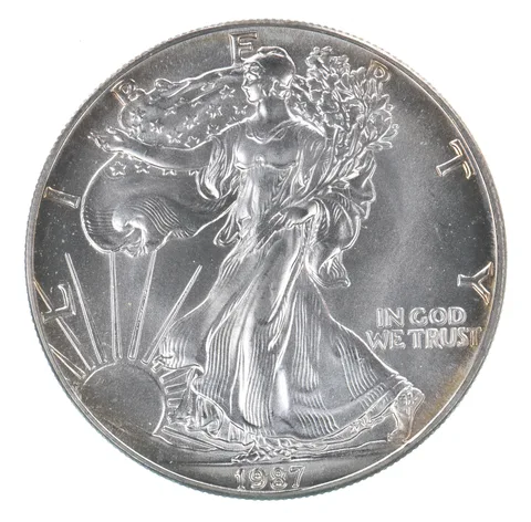 Beautiful Toned - 1987 American Silver Eagle 1 Troy Oz .999 Fine Silver *131