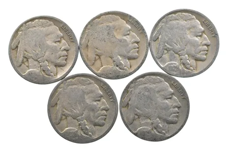 BETTER Lot 1929-D 1929-D 1928-D 1928-D 1929-D Buffalo Nickel Collection *188