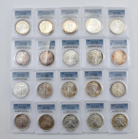 Lot (20) Nice Tone American Silver Eagle PCGS Holder *2897